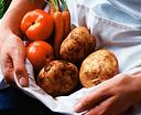 инь,ян,восточная медицина,продукт,продукты инь,продукты ян,энергия
